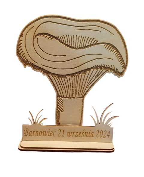 Statuetka Grzyba, Grzyb, Grzybobranie dowolny grawer Statuetka Grzyba, Grzyb, Grzybobranie dowolny grawer
